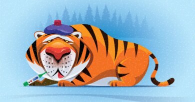 Tiger Global plans cautious venture future with a new $2.2B fund | TechCrunch