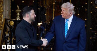 Trump and Zelensky appear more upbeat - but show no evidence that peace is near