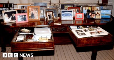 Trump image within Epstein files reinstated by US justice department after backlash