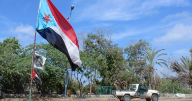 UAE welcomes Saudi efforts to support security in Yemen amid STC advance