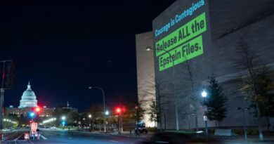 Projection on the National Gallery of Art reads ‘Courage is Contagious. Release ALL the Epstein Files,’ with the US Capitol in the background at night.