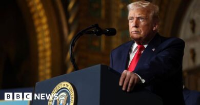 US launches 'powerful strikes' against Islamic State in Nigeria, says Trump