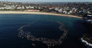 An aerial view of surfers forming a circle in the ocean just off a beach.