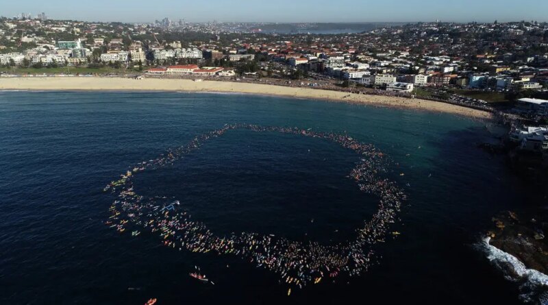 An aerial view of surfers forming a circle in the ocean just off a beach.