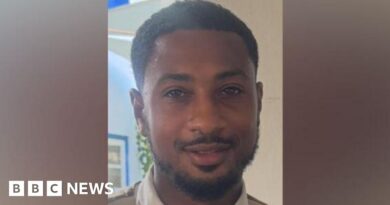 Willesden man charged with murder after car hit pedestrians