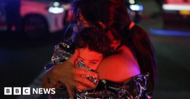 'It was pandemonium': Jewish community targeted in Australia's deadliest shooting in decades