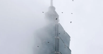 'Free solo' climb of Taiwan's tallest building postponed due to weather