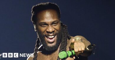 Afrima Awards 2026: Burna Boy, Shallipopi and Rema win as Nigerian stars dominate