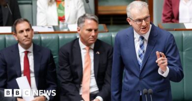 Australia parliament votes on tighter gun controls after Bondi shooting