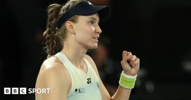 Elena Rybakina celebrates