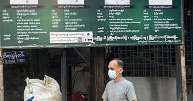 A man walks past a campaign poster for the military’s proxy party USDP ahead of strictly controlled elections in Myanmar. Credit: Guy Dinmore/IPS