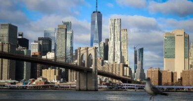 Bridgewater, D.E. Shaw among top hedge fund gainers of 2025 | Fortune