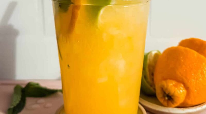 A glass of orange beverage with ice, garnished with lime, orange slice, and mint, sits on a coaster&mdash;a refreshing sip of nature