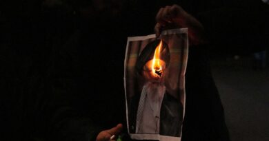 Demonstrators in London, Paris, Istanbul back Iran protests