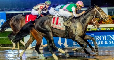 Disco Time Ready To Dance In Pegasus World Cup At Gulfstream Park
