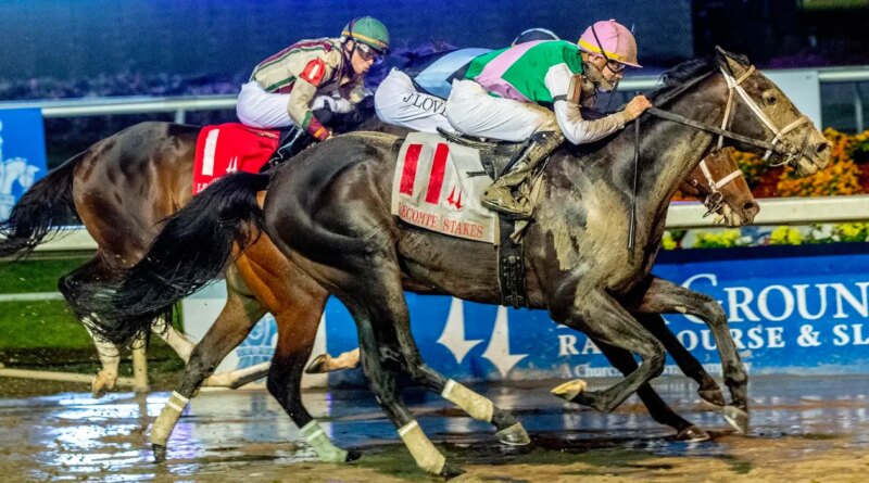 Disco Time Ready To Dance In Pegasus World Cup At Gulfstream Park