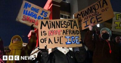 Dozens arrested and one police officer injured in Minneapolis ICE protests
