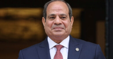 Egypt announces results of last seats in parliament vote that gave Sisi strong majority