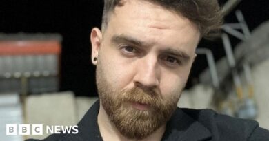 Erfan Soltani: Iran denies plan to execute detained protester