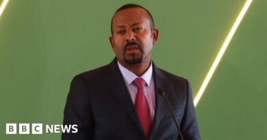Ethiopia says seized ammunition sent by Eritrea to Fano rebels in Amhara