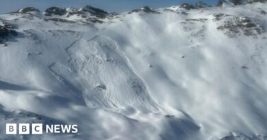 Five die in Austrian avalanches, rescuers say