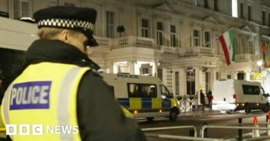 Fourteen arrested after Iranian embassy protest