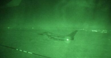 France, UK conduct joint strikes against IS in Syria