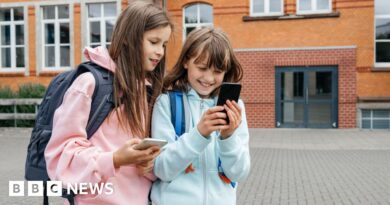 French MPs take first step towards banning social media for under-15s