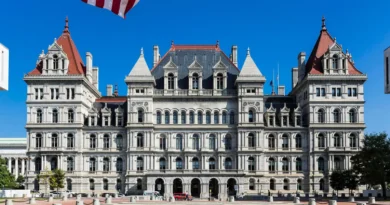 Gold domes, historic statues, and nods to state flags: Photos show what the capitol looks like in every state