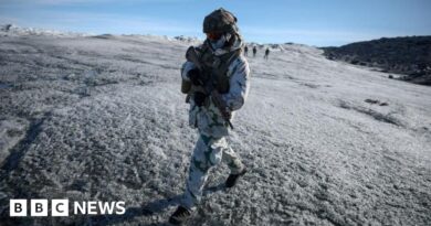 Greenland: Vance criticises Denmark and Europe's handling of 'critical' territory