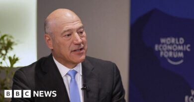 Greenland 'will stay Greenland', former Trump adviser declares