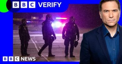 How Alex Pretti shooting led Trump to shift course in Minneapolis