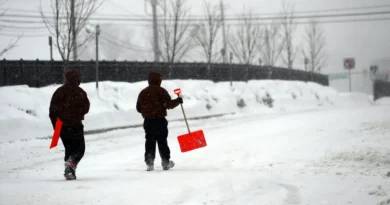 How to make (or lose) money on snowfall predictions