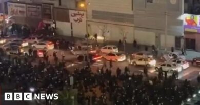 Huge anti-government protests in Tehran and other Iranian cities, videos show