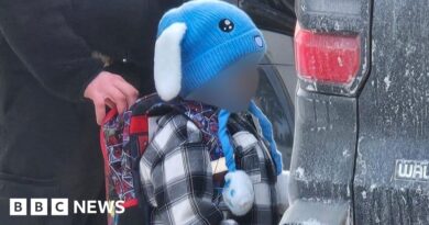 ICE detains five-year-old and father in Minnesota, lawyer says