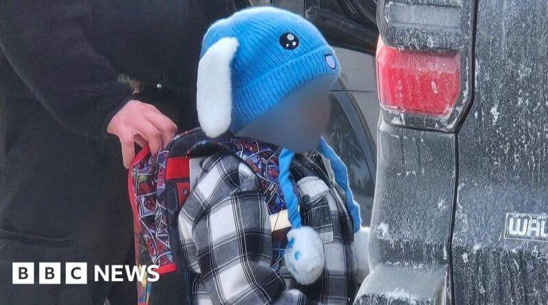 ICE detains five-year-old and father in Minnesota, lawyer says