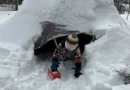 Influencers convinced me I needed to build an igloo for my kids. The results made this snow day bearable, and it was free.