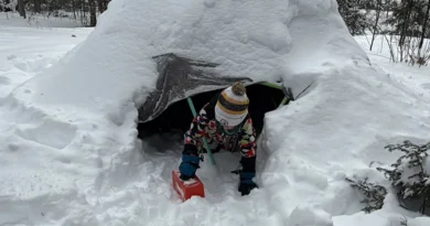Influencers convinced me I needed to build an igloo for my kids. The results made this snow day bearable, and it was free.
