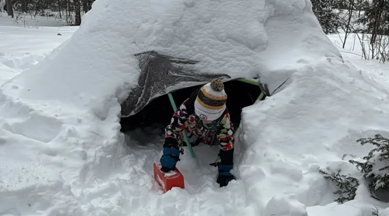 Influencers convinced me I needed to build an igloo for my kids. The results made this snow day bearable, and it was free.