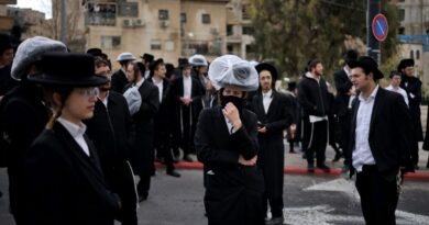 Israeli ultra-Orthodox rally against babies' autopsies