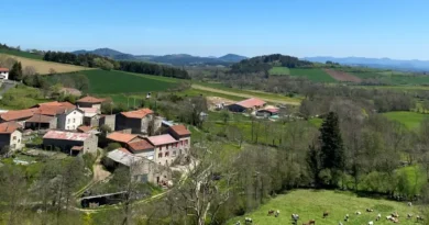 I'm an American who moved to a small French village. I tried to adjust, but learned I wasn't built for country living.