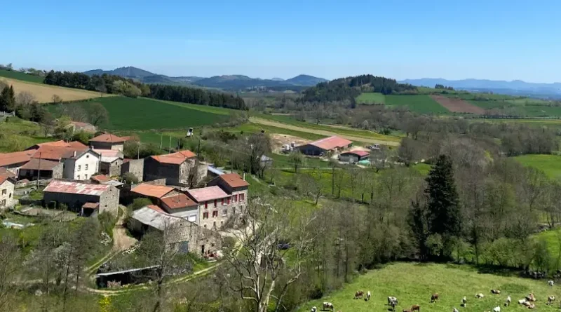 I'm an American who moved to a small French village. I tried to adjust, but learned I wasn't built for country living.