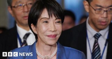 Japan PM joins fight for more female toilets in parliament