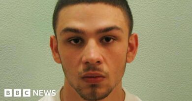 Justice Secretary David Lammy blocks Jimmy Mizen killer's open prison move