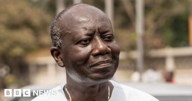 Ken Ofori-Atta: Ex-Ghana finance minister detained by US immigration officials