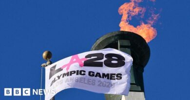 LA 2028 Olympics to open ticket raffle - with seats starting at $28