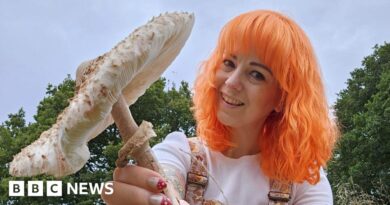 Leicestershire officer committed gross misconduct over mushroom foraging report