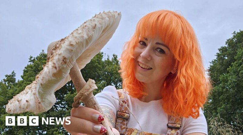 Leicestershire officer committed gross misconduct over mushroom foraging report
