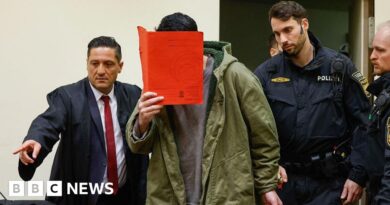 Man accused of murdering woman and toddler in Munich car attack goes on trial