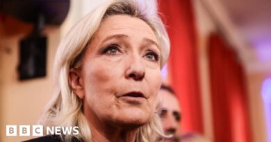 Marine Le Pen's political fate rests on appeal trial opening in France
